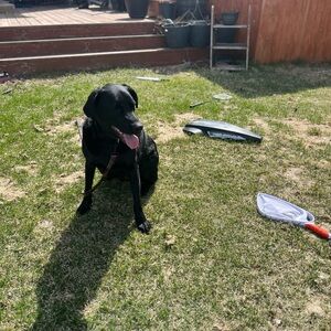 Meet your Posher, Sophia